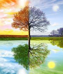 Mi egyebek az évszakok? - UniCafe Magazin : UniCafe Magazin