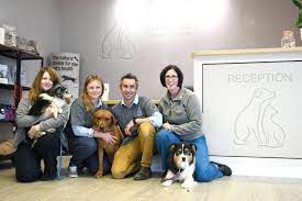 Maybe you would like to learn more about one of these? Couple Unveil Dalton S Dedicated Vets Surgery The Mail