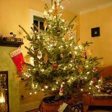 Maybe you would like to learn more about one of these? Top 10 Best Christmas Trees In Eugene Or Last Updated August 2021 Yelp
