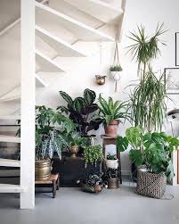 Tour Hilton Carter S Plant Filled Loft Indoor Plants Indoor Garden Plants