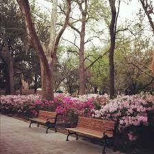 Caitlin Allen On Instagram Downtown Savannah Savannah Downtown Beautiful Happy Georgia Love Savannah Chat Downtown Savannah Outdoor Gardens