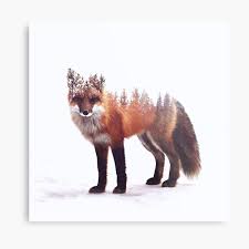 Metallbilder Tiere Redbubble Die insel helgoland ist ihre kinderstube. metallbilder tiere redbubble