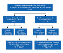 Image result for CSF Culture