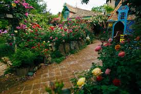 ფიანელა - ფიანელა added a new photo.