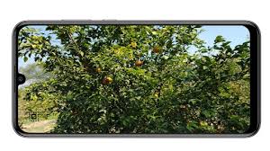 Download Full Screen Dual Camera Mirror Pro For Android Full Screen Dual Camera Mirror Pro Apk Download Steprimo Com