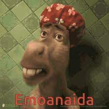 #shrek #shrek 2 #donkey shrek #dreamworks #meme #happily ever after #far far away. Shrek Donkey Smile Gifs Tenor