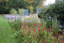 Browse 265 photos of perennial flowers zone 7. Zone 7 Full Sun Perennial Flower Ideas Houzz