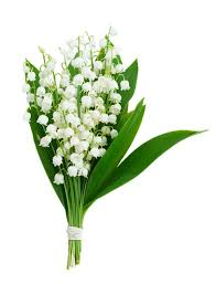 Lily of the valley funeral flowers. Handy Flowers Free Uk Flower Delivery Send Flowers Online