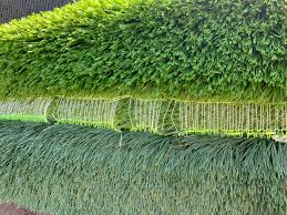 It is very heavy stuff, but i will have to cut it into several pieces to fit the rooftop deck. How Long Is Roll Of Turf