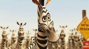 DreamWorks Madagascar | Alex and Marty - Movie Clip | Madagascar: Escape 2  Africa | Kids Movies - YouTube