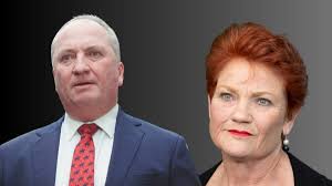Pauline Hanson attempted to lure Barnaby Joyce to One Nation