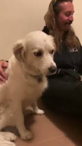 @BandSmall's video Tweet