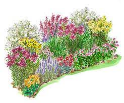 Plants are hardy in zones 8 to 10. 15 No Fuss Gardens Plans To Try In Your Garden Flower Garden Plans Perennial Garden Plans Garden Planning
