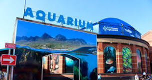 Two Oceans Aquarium | Opening Hours & Prices