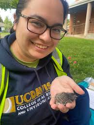 The Project Phoebe Team