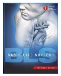 Basic life support and helping a choking child training to parents in myanmar by dr. Basic Life Support October 17 2018 Cora Services
