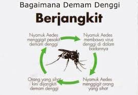 We did not find results for: Petua Elakkan Demam Denggi Anda Anjung Fera Beauty Spa Facebook