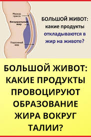 6 типов ожирения и как справиться с каждым из них Pohudenie V 2020 G Zdorove Zhivot Pohudenie