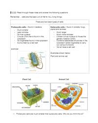Maybe you would like to learn more about one of these? Animal Cell Print Out Worksheets Teaching Resources Tpt