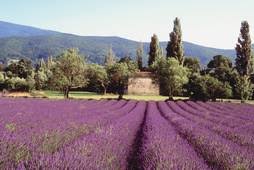 Avant l'aube du lundi, il souffle une jolie brise (20 à 29. Aix En Provence Climat Temperatures Et Meteo Les Meilleures Periodes