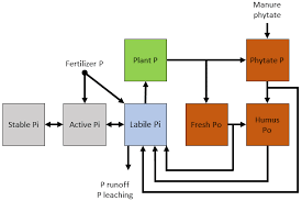 We did not find results for: Bg Reviews And Syntheses Ironing Out Wrinkles In The Soil Phosphorus Cycling Paradigm