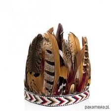 Image result for pióropusz indiański