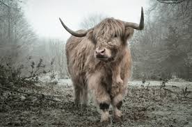 With the help of remaining allies, the avengers must assemble once more in order to undo thanos' actions and restore order to the universe once and for. Putlocker Avengers Endgame Full Movie Watch Online Dailymotion Kiran Brown