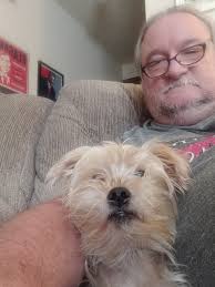 We've partnered with Drive Toyota NW to create the official fan club for  your favorite pet! Become a member of Benny's Buddies and you will receive  an official Benny's Buddies social media