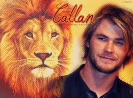 Recensione: Il fuoco della tentazione di Lora Leigh