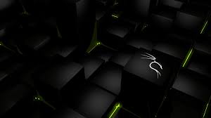 All information contained in this site and all software provided by it are intended solely for the purpose of helping users to secure their. Kali Linux Wallpaper For Android Posted By Zoey Peltier