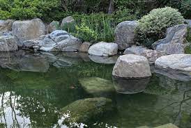 上海私邸 怡庭 翡世造园 nature waterscape fish design