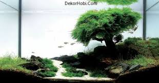 Modern Fish Tanks That Inspire Relaxation Planted Aquarium Aquascaping Akvaryum Baligi