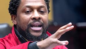 Mbuyiseni Ndlozi resigns from EFF, shifts focus to academia