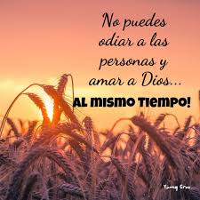 No Puedes Proverbio Del Dia Frases Dios Dios Te Ama