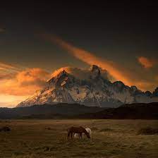 Photographer Andy Lee S Images Of Patagonia S Sweeping Scenery Embrace The Power And Solemn Glory Of The Region S Nat Horse Photography Beautiful Horses Horses