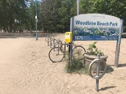 Nestled off the hustle and bustle of maple ave., woodbine swim club has been home to its members since 1958. The Lake Effect
