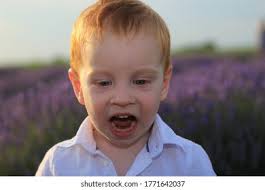 1,865 Lavender Shoot Images, Stock Photos, 3D objects, & Vectors