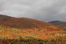 Other words from foliage synonyms how do you pronounce foliage ? Pin On New Hampshire Foliage