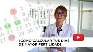 Calcular La Ovulacion El Mejor Momento Para Quedar Embarazada Youtube