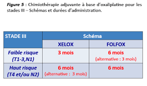 Le cancer du colon (cancer colorectal) : 3 Cancer Du Colon Non Metastatique Snfge Org Societe Savante Medicale Francaise D Hepato Gastroenterologie Et D Oncologie Digestive