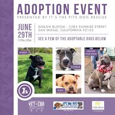 San diego animal welfare coalition statistics. Events
