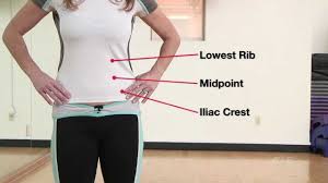 The low hip is to be measured at the widest part of the hips and ends at the point where the end of your measuring tape meets the longer tail. How To Find Your Waist To Hip Ratio Youtube