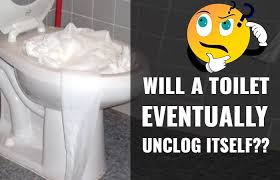 Rooter was founded in 1970, the company has remained committed to a set of core values that are rooted in performing quality work at honest prices. Will A Toilet Eventually Unclog Itself What If Toilet Clogged For Days Toiletseek