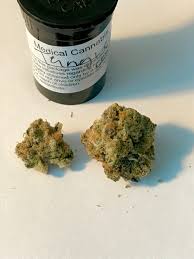 Cookies connected is a cannabis dispensary strictly for cookies strains. Tropical Berry And Tangie Cookies Your Product Hub