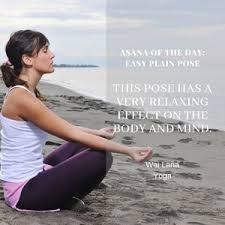 Popular yoga teacher wai lana demonstrates a step by step instruction of the camel pose. Lizard Pose Yoga Yoga For You