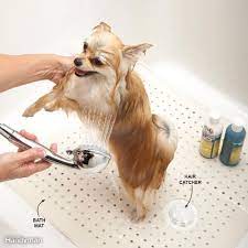 For A Calmer And Easier Bath Time Make A Dog Washing Station In Your Shower Cover The Drain With A Hair Catcher To Prevent Fur From Cl Pets Dog Wash Your