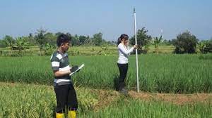 Juru ukur tanah bertauliahisu persempadanan bukanlah suatu perkara yang boleh diremehkan. Anda Juru Ukur Tanah Kementerian Atr Bpn Cari 8000 Tenaga Tribun Timur