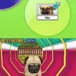 Welcome home a new small animal and show love for cats and dogs with the sims™ 4 my first pet stuff. Petz Dogz Pack Cheats And Cheat Codes Nintendo Ds