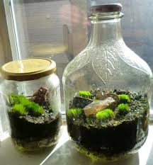 See more ideas about apothecary jars utilize glass apothecary jars and canisters (from dollar stores) in bathrooms and fill with inexpensive bath items such as cotton balls, bath salts, soaps, etc. How To Make A Terrarium In A Jar Dengarden