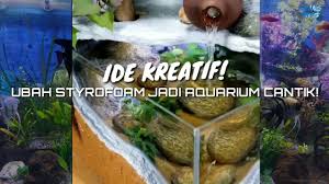 Aquariums Ide Kreatif Ubah Box Jadi Aquarium Cantik Diy Creative Peluang Usaha In 2020 Diy Creative Aquarium Styrofoam
